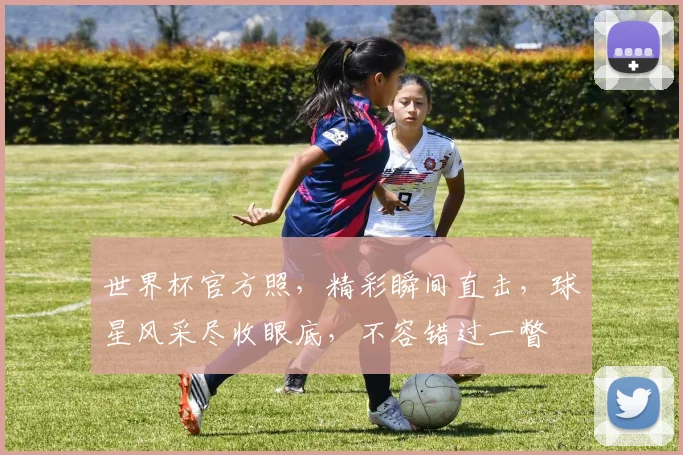 世界杯官方照，精彩瞬间直击，球星风采尽收眼底，不容错过一瞥