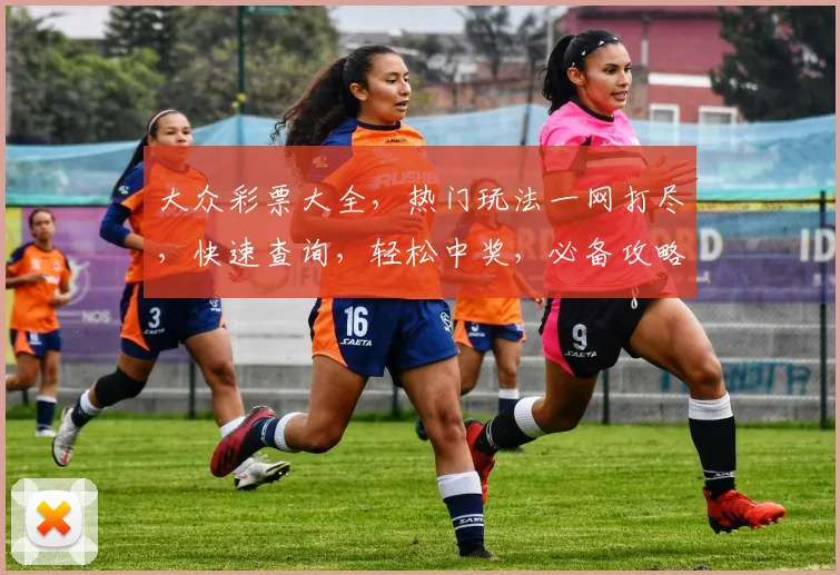 大众彩票大全，热门玩法一网打尽，快速查询，轻松中奖，必备攻略两则