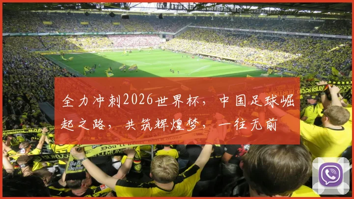 全力冲刺2026世界杯，中国足球崛起之路，共筑辉煌梦，一往无前