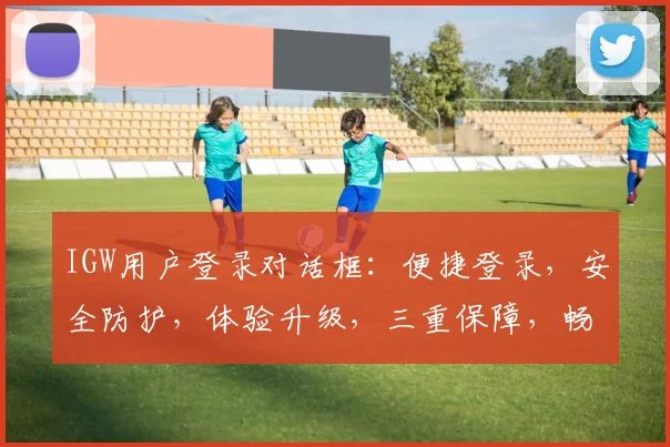 IGW用户登录对话框：便捷登录，安全防护，体验升级，三重保障，畅享服务之旅